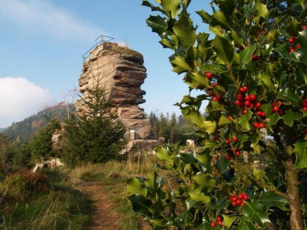 مبيت وإفطار Saint-Die-des-Vosges Au Gre Des Sentiers Chez Marie Et Pierre المظهر الخارجي الصورة