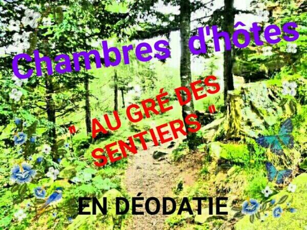مبيت وإفطار Saint-Die-des-Vosges Au Gre Des Sentiers Chez Marie Et Pierre المظهر الخارجي الصورة